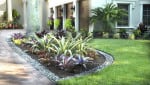 Front yard landscape designer West Palm Beach