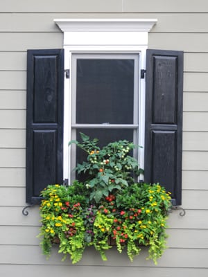 Click here to see a video showing how to hang a window box (1:28).