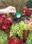 How to Trim and Fertilize Container Gardens