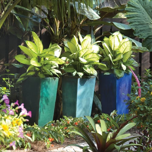 Container Gardens Palm Beach Landscape Designer Pamela