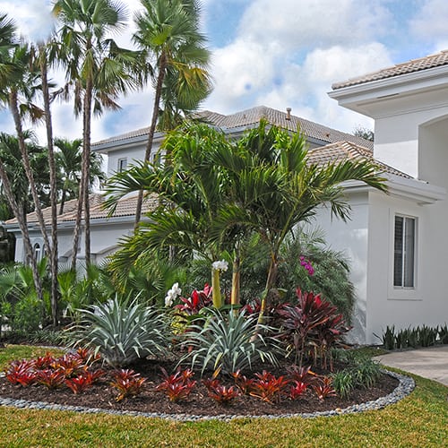 Tropical Garden Photos | Pamela Crawford | Palm Beach Landscapes