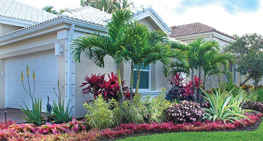 Landscape design company Boca Raton