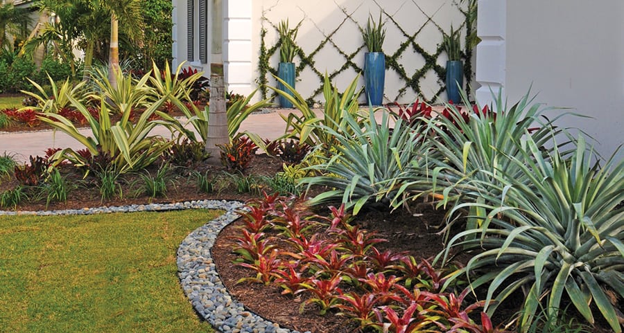 Front yard landscape designer Boca Raton